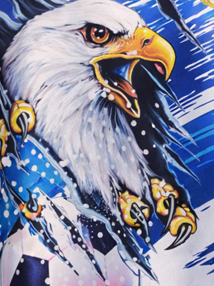 Détail aigle maillot Argentine Aigle – zoom sur le visuel prédateur et impression graphique haute qualité