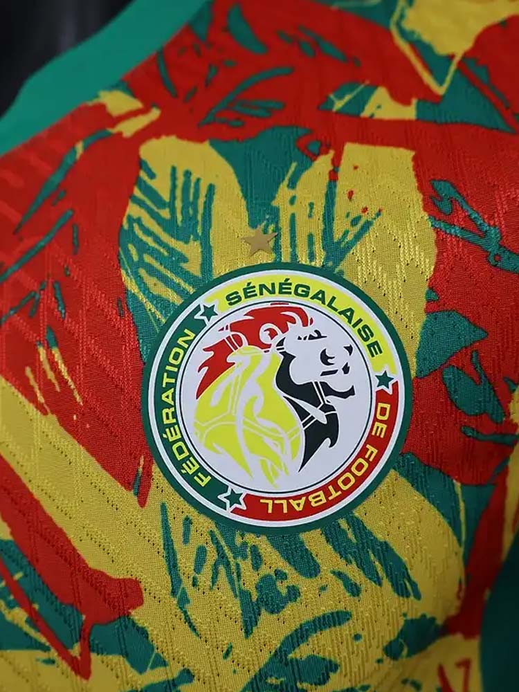 Logo de football du Sénégal